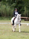 IMG_3341 IMG_3341