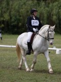 IMG_3354 IMG_3354