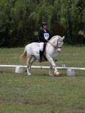 IMG_3355 IMG_3355