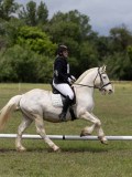 IMG_3358 IMG_3358