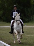 IMG_3362 IMG_3362