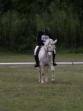 IMG_3365 IMG_3365