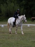 IMG_3366 IMG_3366