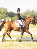 24_04202 24_04202