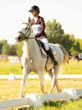 DSC08875 DSC08875