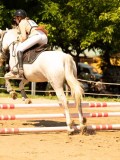 DSC09444 DSC09444
