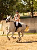 DSC09445 DSC09445