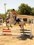 DSC09446 DSC09446