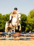 DSC09449 DSC09449