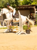 DSC09450 DSC09450