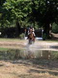 IMG_7206