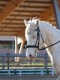 IMG_0122 IMG_0122