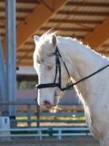 IMG_0123 IMG_0123