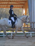 IMG_0126 IMG_0126
