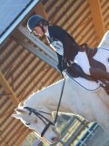 IMG_0129 IMG_0129