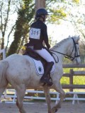 IMG_0138 IMG_0138