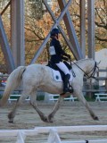 IMG_0141 IMG_0141