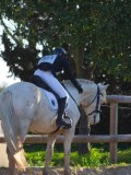 IMG_0153 IMG_0153