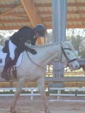 IMG_0154 IMG_0154