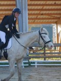 IMG_0161 IMG_0161
