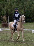 IMG_3369 IMG_3369