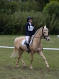 IMG_3371 IMG_3371