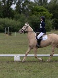 IMG_3373 IMG_3373