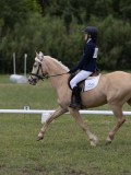 IMG_3375 IMG_3375