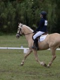 IMG_3376 IMG_3376
