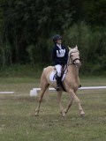 IMG_3378 IMG_3378