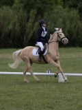 IMG_3381 IMG_3381