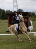 IMG_3383 IMG_3383