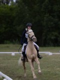 IMG_3385 IMG_3385