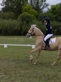 IMG_3387 IMG_3387