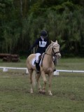IMG_3388 IMG_3388