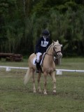 IMG_3389 IMG_3389