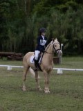 IMG_3390 IMG_3390