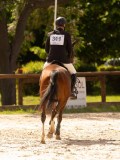 DSC00778 DSC00778