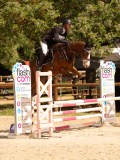 DSC00783 DSC00783