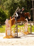 DSC00786 DSC00786