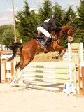 DSC00788 DSC00788