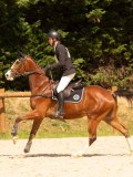 DSC00795 DSC00795