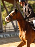 DSC02490 DSC02490