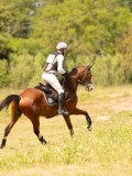 DSC04289 DSC04289