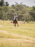IMG_9646 IMG_9646