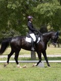 IMG_1297 IMG_1297