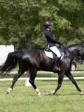 IMG_1299 IMG_1299
