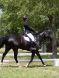 IMG_1301 IMG_1301