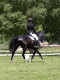 IMG_1302 IMG_1302