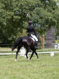 IMG_1303 IMG_1303